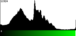 Green Histogram