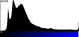 Blue Histogram