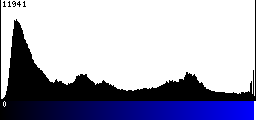 Blue Histogram