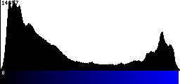 Blue Histogram