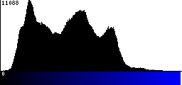 Blue Histogram