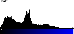 Blue Histogram