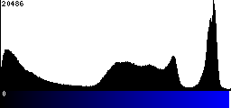 Blue Histogram