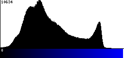 Blue Histogram