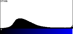 Blue Histogram