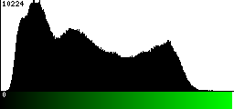 Green Histogram