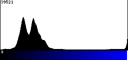 Blue Histogram