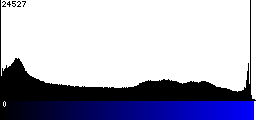 Blue Histogram