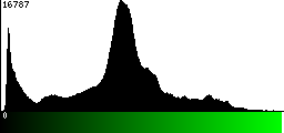 Green Histogram