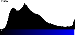 Blue Histogram