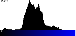 Blue Histogram