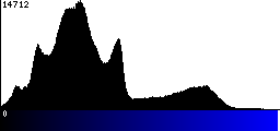 Blue Histogram