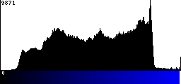 Blue Histogram