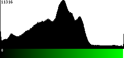 Green Histogram