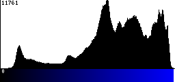 Blue Histogram