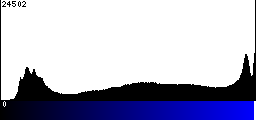 Blue Histogram