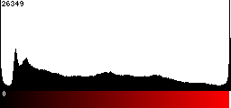 Red Histogram