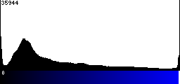 Blue Histogram