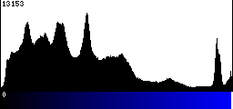 Blue Histogram