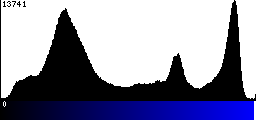 Blue Histogram