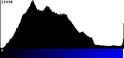 Blue Histogram