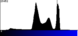 Blue Histogram