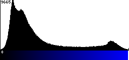 Blue Histogram