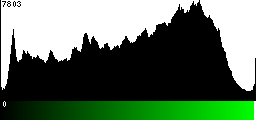 Green Histogram