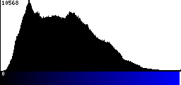 Blue Histogram