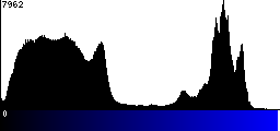 Blue Histogram