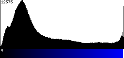 Blue Histogram