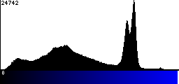 Blue Histogram