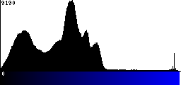 Blue Histogram