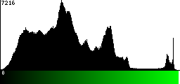 Green Histogram