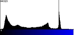 Blue Histogram