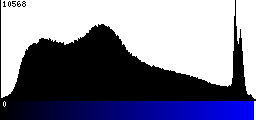 Blue Histogram