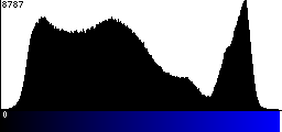 Blue Histogram