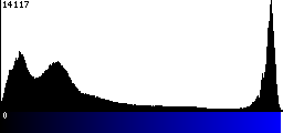 Blue Histogram