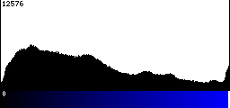 Blue Histogram