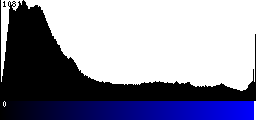 Blue Histogram