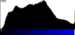 Blue Histogram