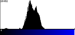 Blue Histogram