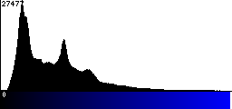 Blue Histogram