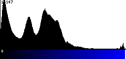 Blue Histogram