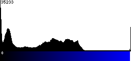 Blue Histogram