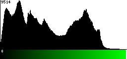 Green Histogram