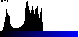 Blue Histogram