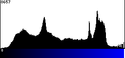 Blue Histogram