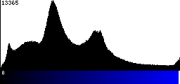 Blue Histogram