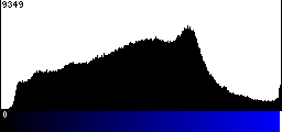 Blue Histogram